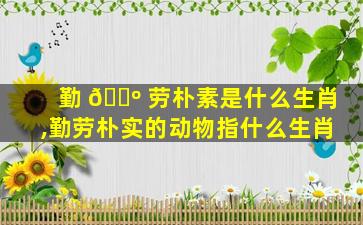勤 🐺 劳朴素是什么生肖,勤劳朴实的动物指什么生肖